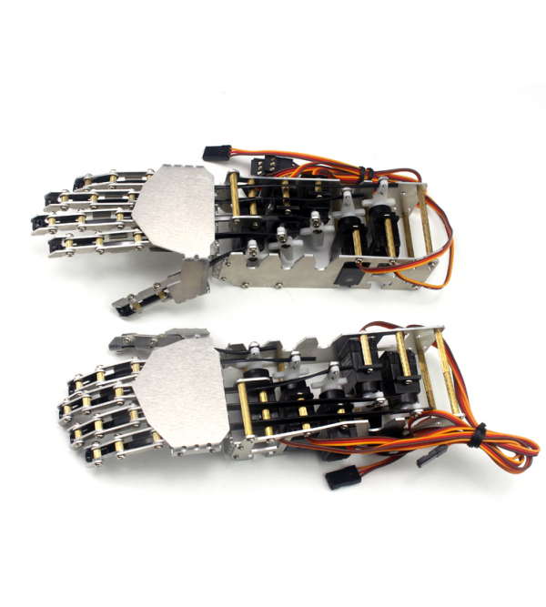 5-DOF Humanoid Robotic Arm & Hand