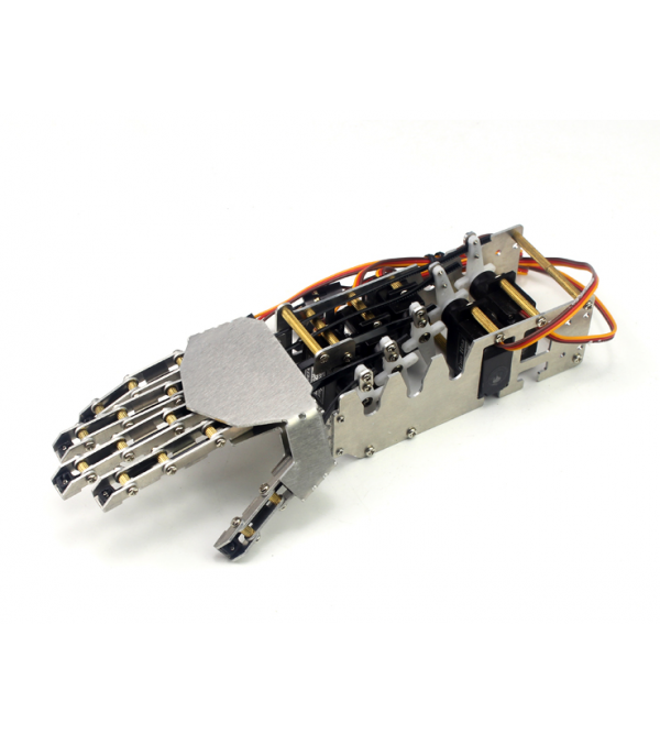 5-DOF Humanoid Robotic Arm & Hand